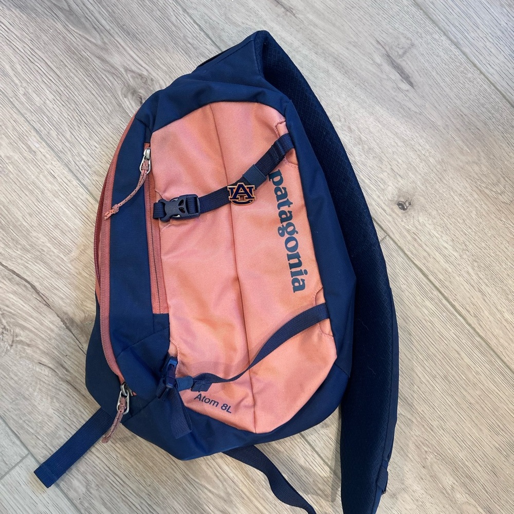 Patagonia One Strap Backpack